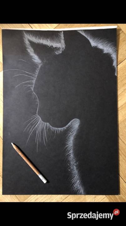 Rysunek kota na czarnym papierze format A3 Radzymin