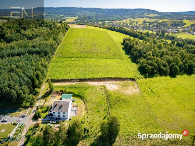 Sprzedam grunt Strzyżów 2300m2 podkarpackie