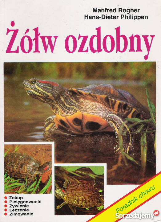 Żółw ozdobny M Rogner HD Philippen Puławy