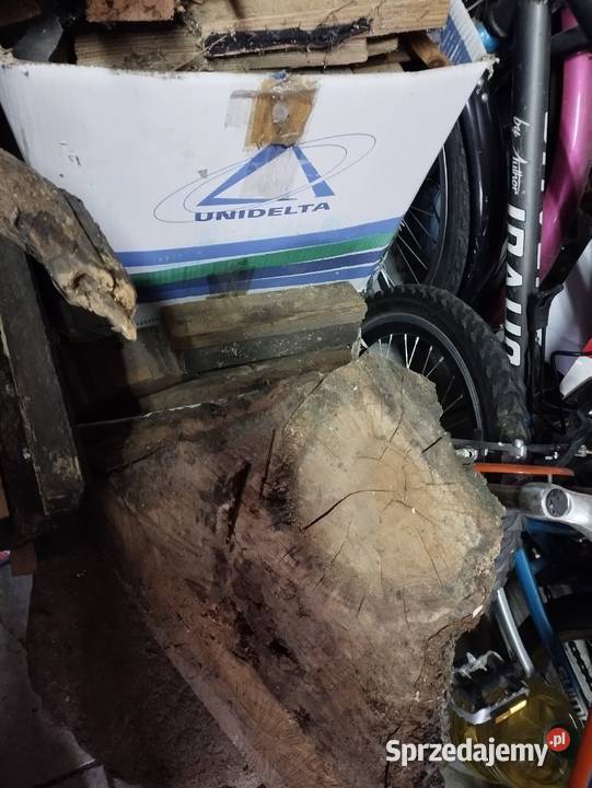 drzewo drewno pieńki na ognisko opał mega Poznań