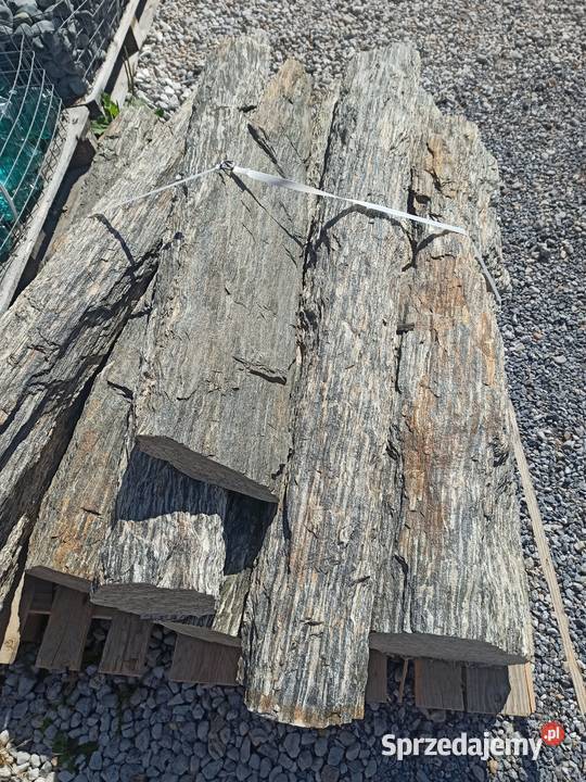 Kora Kamienna 1132 mm kamień ozdobny do ogrodu Chrzanów