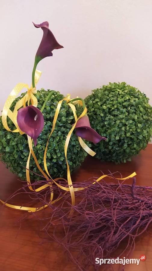 Kule bukszpanowe sprzedam