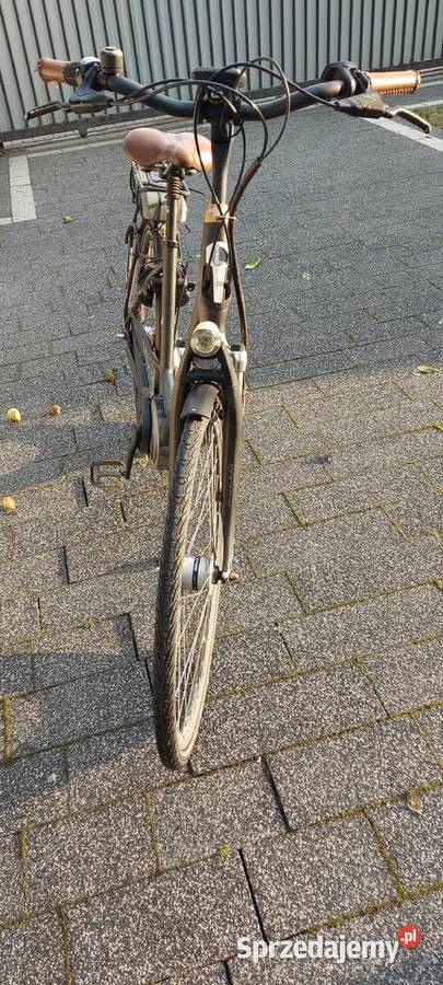 Rower elektryczny Batavus Milano e go