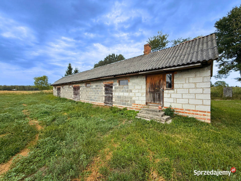 Siedlisko 11 ha w Kozłach Kozły