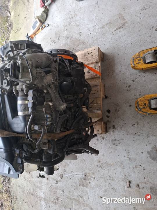 Silnik Toyota Hiace 25d podkarpackie