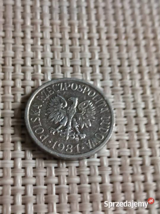 Sprzedam 10 gr 1981 r Chełm