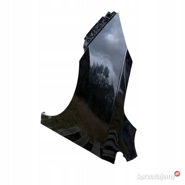 Błotnik Lewy przód przedni Kolor PAE Hyundai osobowe Barłogi sprzedam