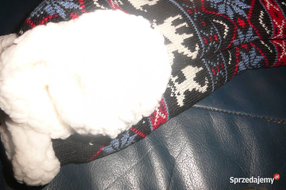 Skarpety ciepłe wewnątrz miś 3641 dolnośląskie Wrocław