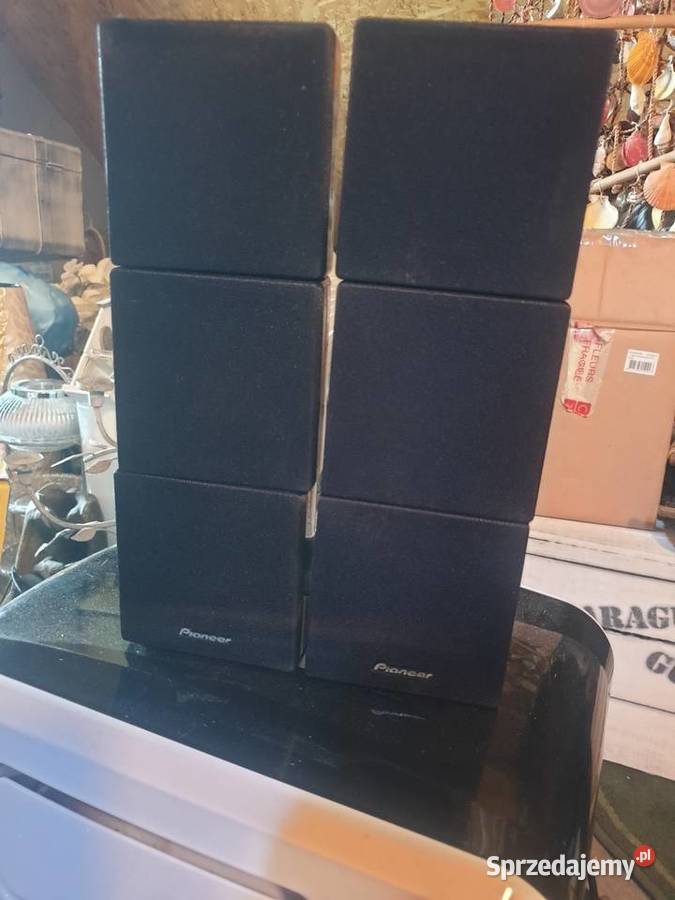 Pioneer 6 kolumienek Leżajsk