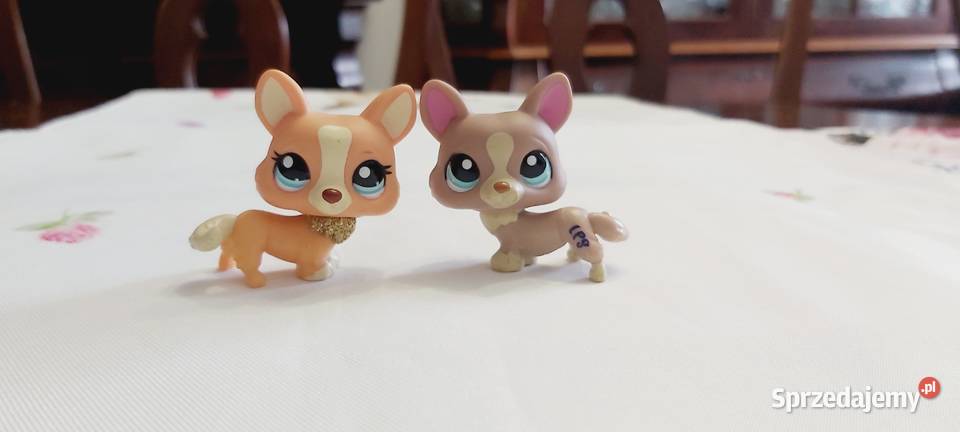 Corgi 2 pieseki z LPS zestaw Braniewo