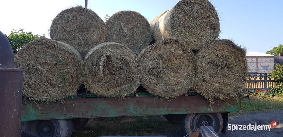 Sprzedam SiANO wielkopolskie Siedlec