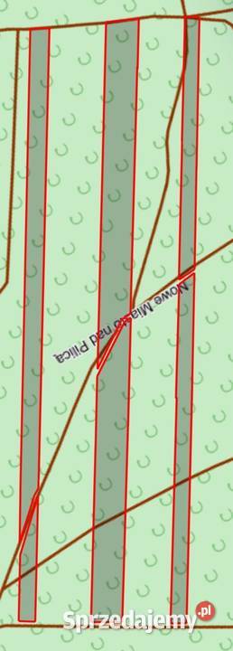 Sprzedam las z gruntem mazowieckie Prosna