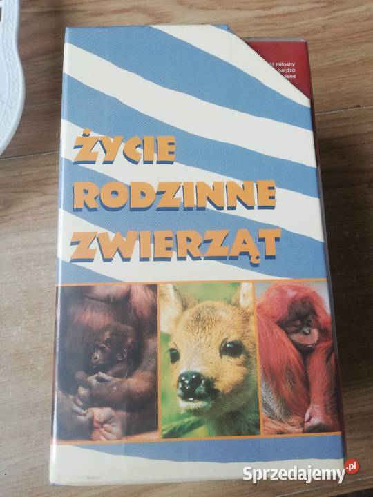 Kasety Życie Rodzinne Zwierząt Warszawa