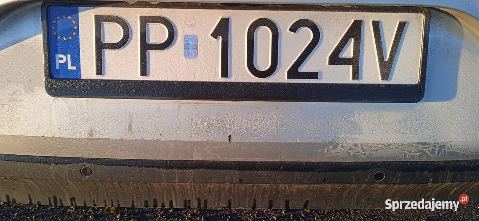 MEGANE IV wielkopolskie Dziembowo