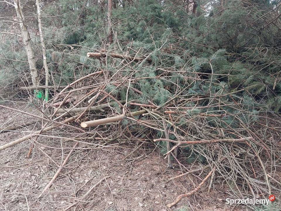 Oddam gałęzie gałęziówka opał drewno Opał Opał Biała Podlaska