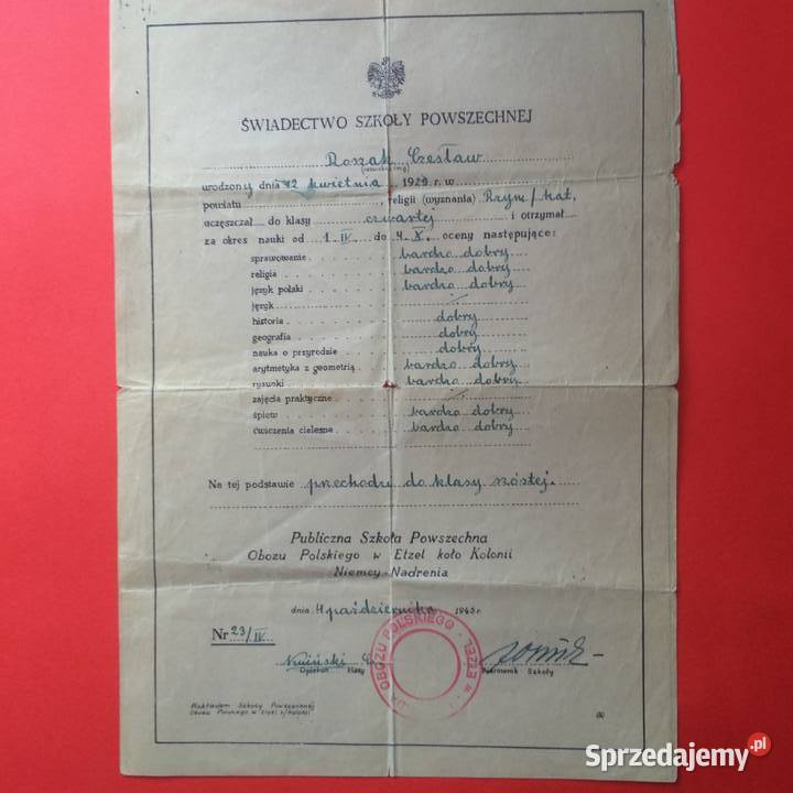 1711 Świadectwo Szkolne Z Obozu W Etzel Roszak zachodniopomorskie Szczecin sprzedam