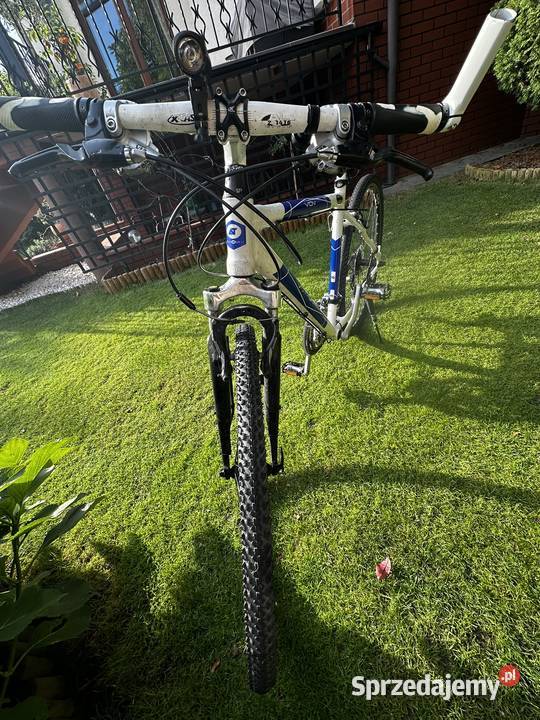 Rower sportowy Velo de Ville Wrocław