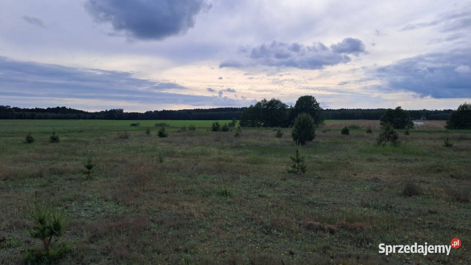 Działka budowlana Dolnik 1074 m2 Wydane WZ wielkopolskie