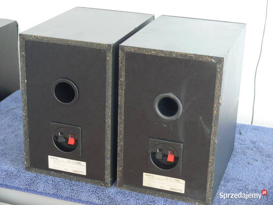 Kolumny Sony SSH1700 sprawne2 x 60 wat WYSYŁKA Jasło