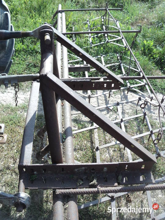 Brony brona 6 polowe kujawsko-pomorskie Niewieścin