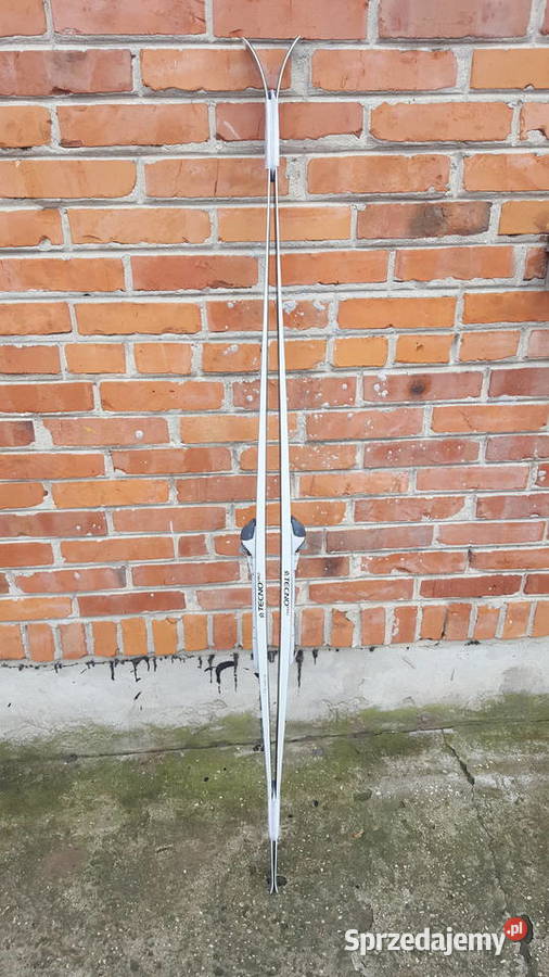 Narty biegowe Nordic Cruising Crown Tecno Pro sprzedam
