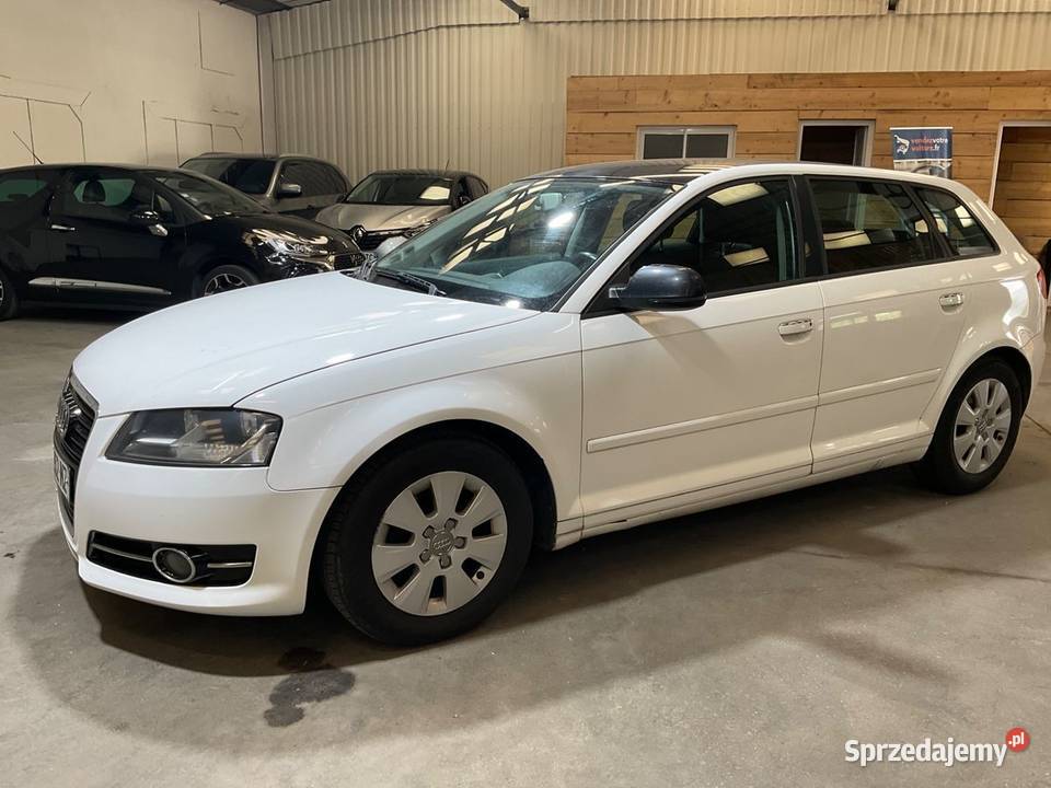 Audi A3 20 TDi Ciechanów