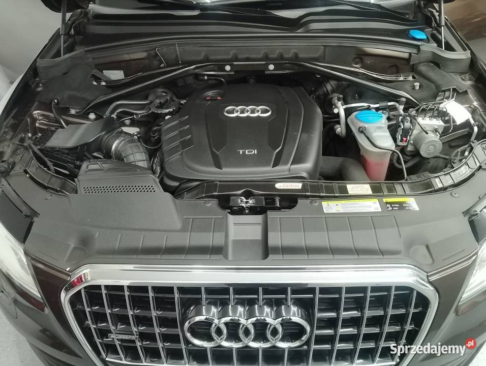 Audi Q5 20TDI Quattro Gilowice