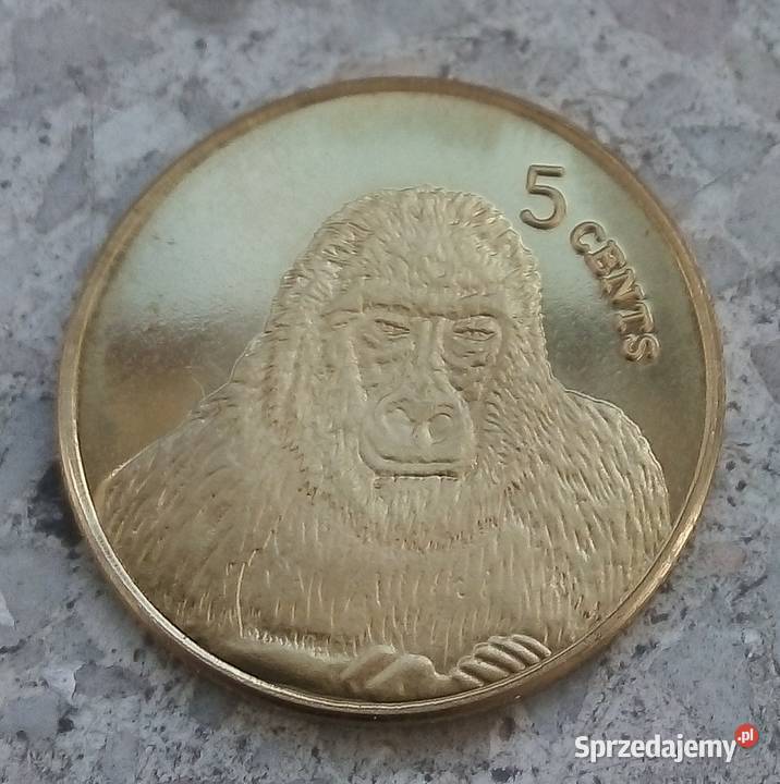 KIRIBATI 5 CENTS 2003 r MAŁPA Numizmatyka mazowieckie Legionowo