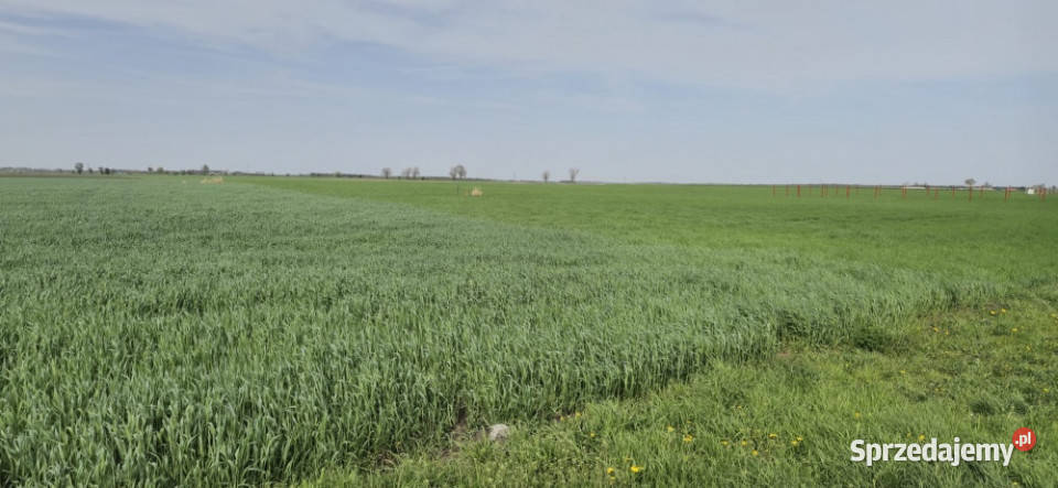 Dom z działką koło Gniezna 115m2 Goślinowo