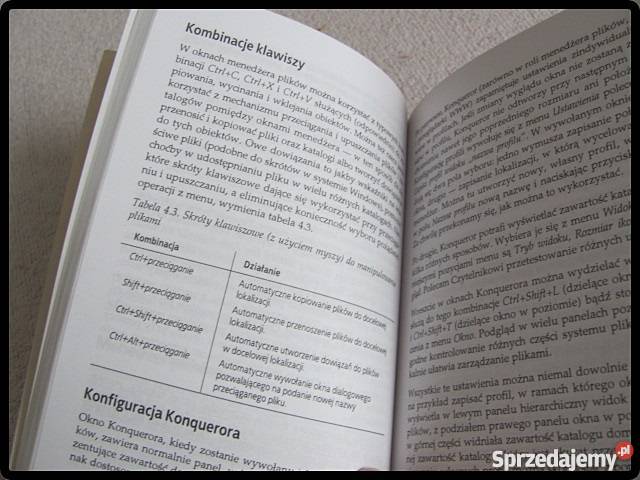 LINUX DESKTOP leksykon kieszonkowy D Brickner