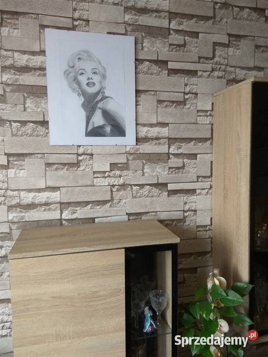 Marylin Monroe portret obraz w ołówku inne na Racibórz sprzedam