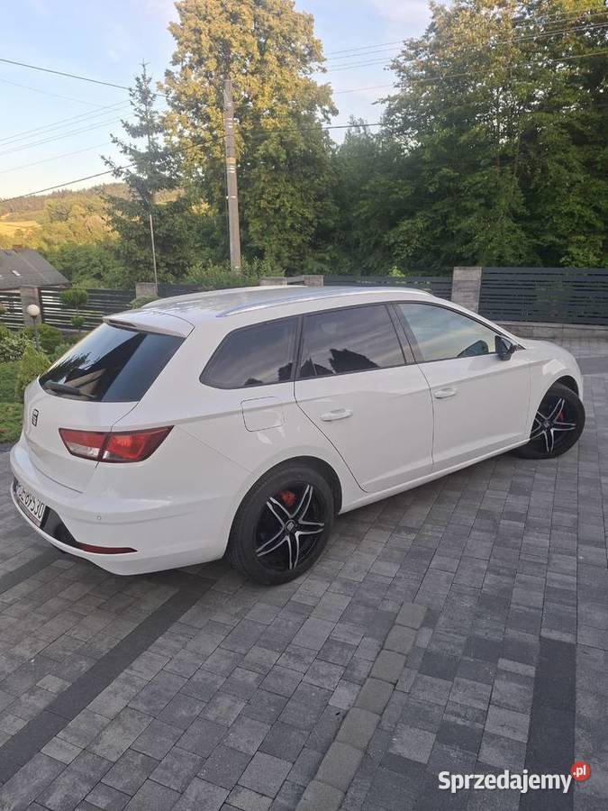 Seat Leon Zwiernik