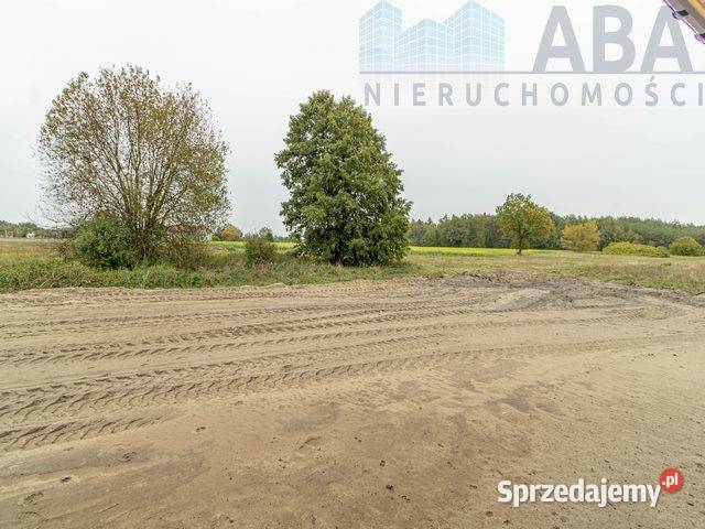 Dom w stanie surowym otwartym Tury gm Krzymów wolnostojący Konin