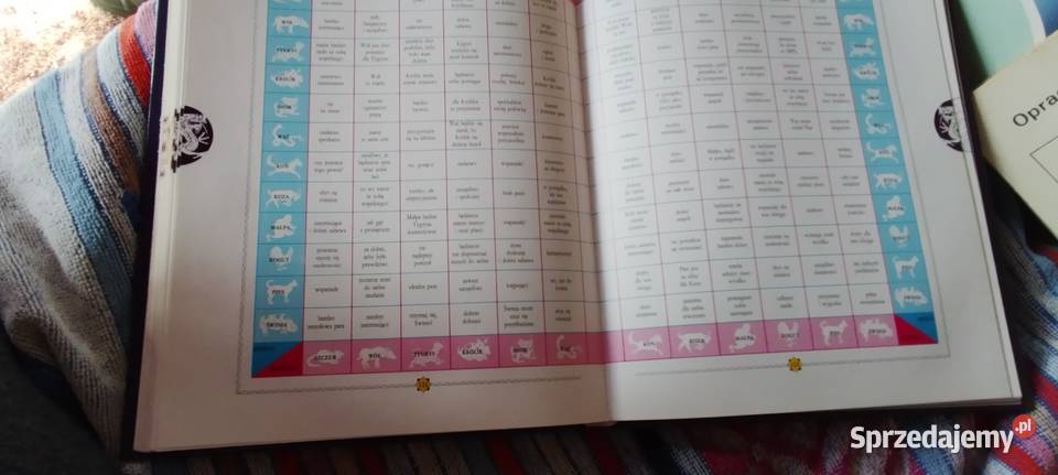 poznać przeznaczenie Hiromanija Wróżby wielkopolskie Wolsztyn