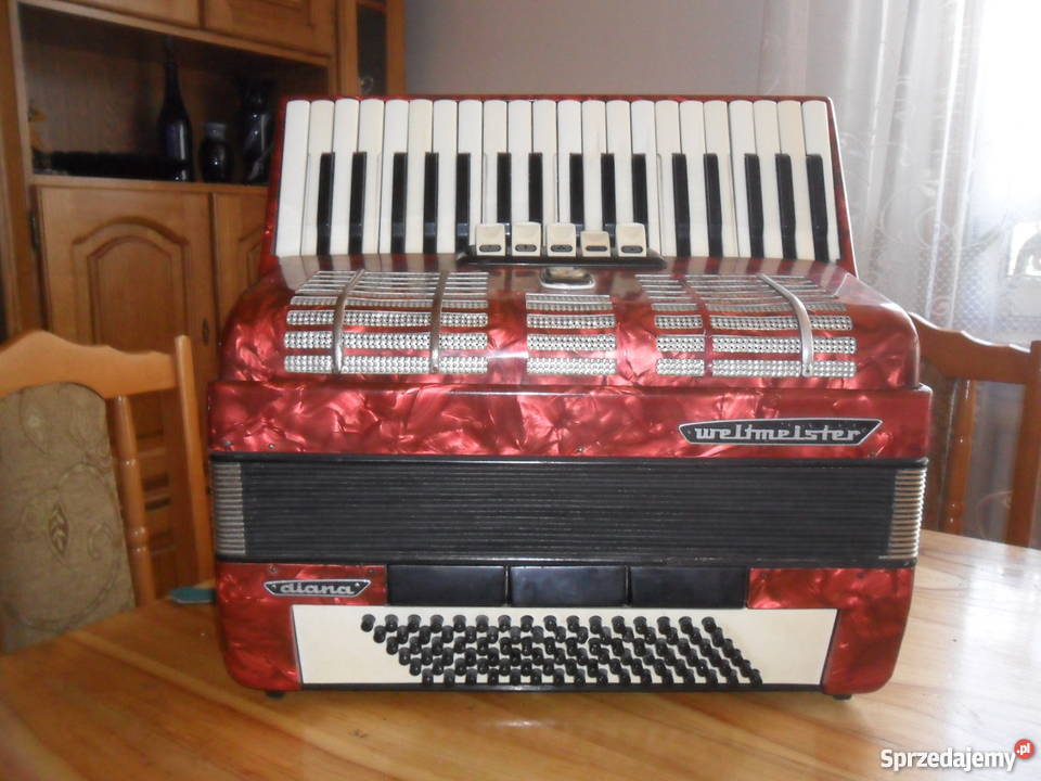 Akordeon weltneister diana 96 basów Rejowiec