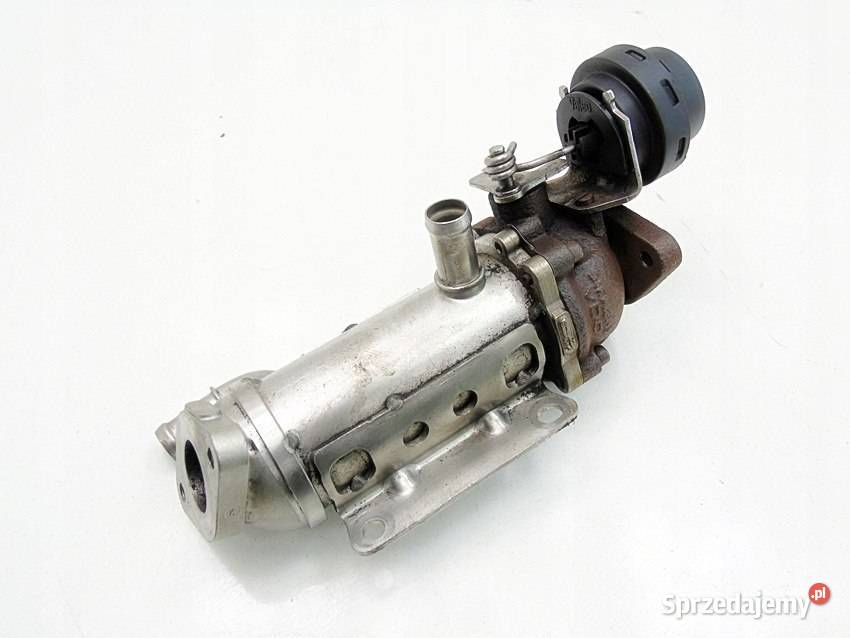 CHŁODNICA SPALIN EGR 20 DCI TRAFIC 2 VIVARO osobowe Sosnowiec sprzedam