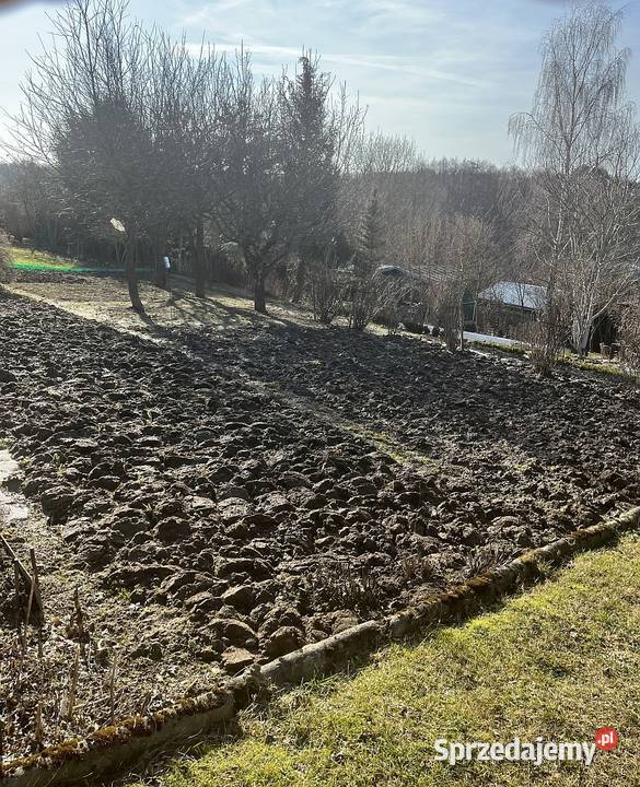 Działka z widokiem ROD Ogródek 300m2 Bratek rekreacyjna Dąbrowica sprzedam