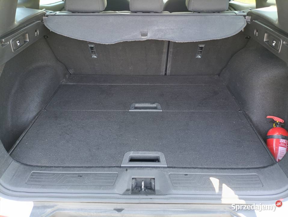 Renault Kadjar 15 Blue dCi 115 wielkopolskie Konin