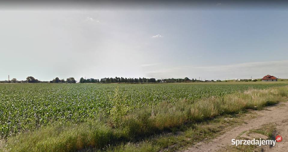 Działka Budowlana 29653 m2 pod bliźniaki MEDIA Iwiny