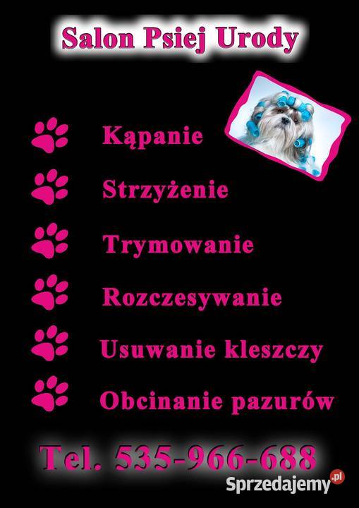 Salon Psiej Urody HOUSE DOG S Fryzjerstwo i kosmetyka Kłomnice
