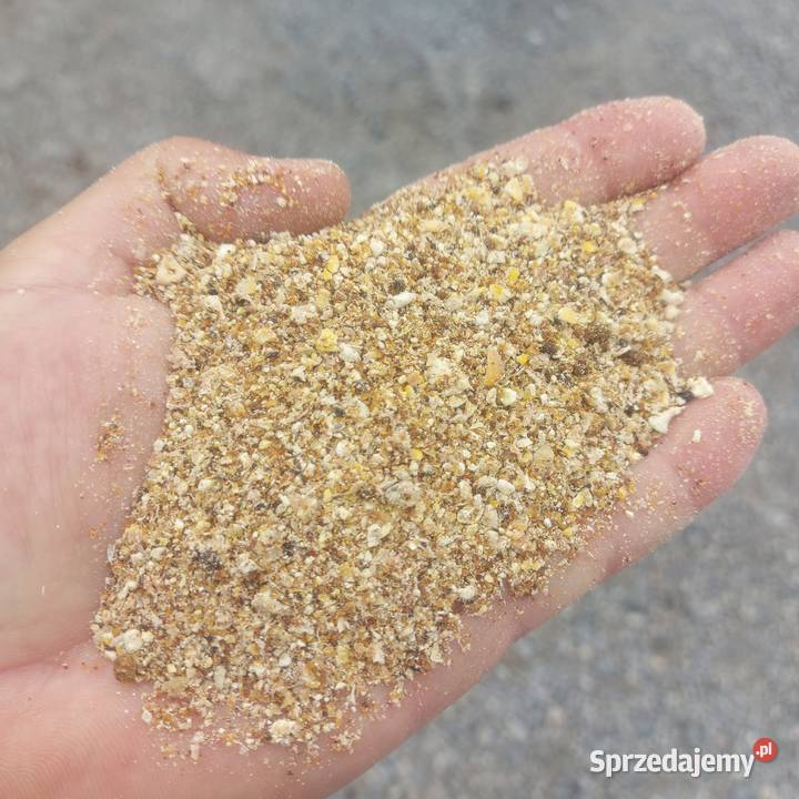 mieszanka kukurydza ddgs Siedlce