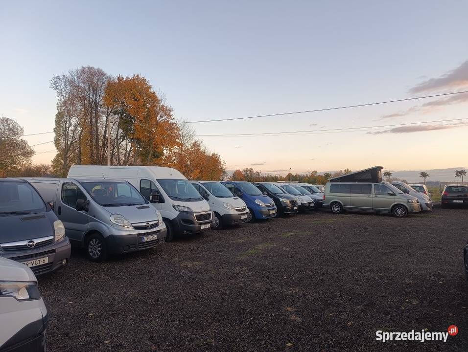 vivaro lift 20D 6osobowy Opel Poniatowa