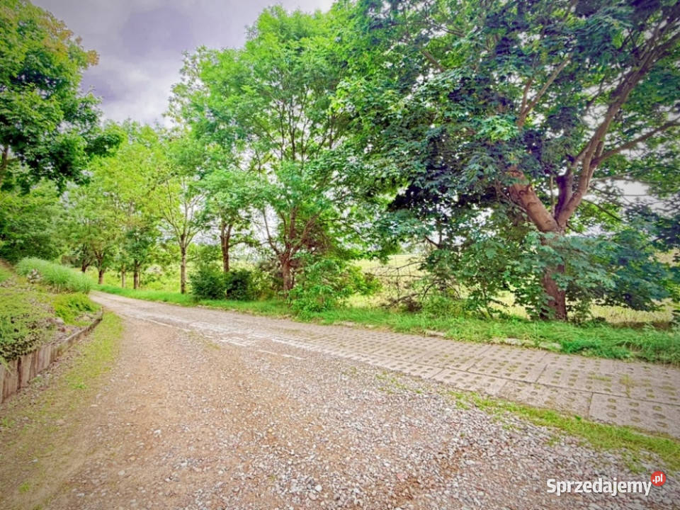 Duża działka 6000 m w Demlinie spokój natura i Demlin