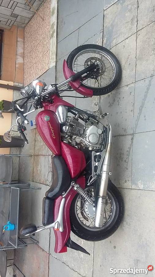 Chopper Rex 12550 Grybów