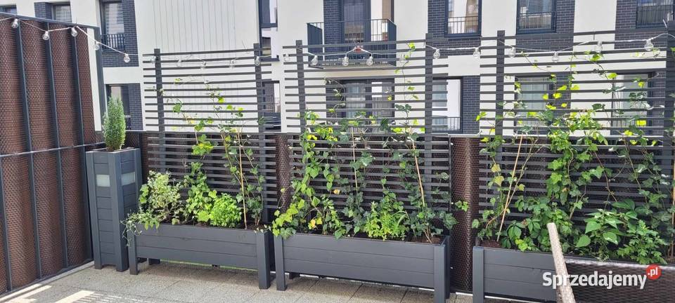 Donica Drewniana z Kratką W4D3K Lakierowana śląskie Lelów