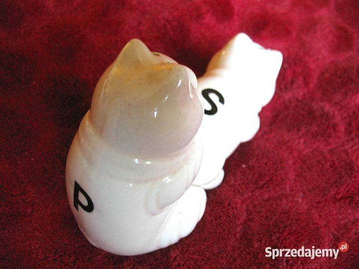 Sól i pieprz Świnki 8 x 5 x 5 Solniczka i Siedlce