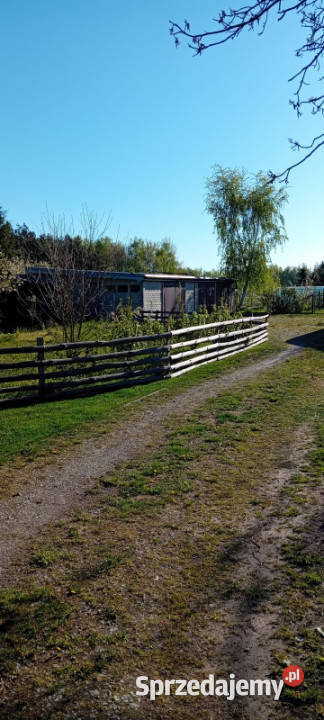 Dom 120m2 duża działka z potencjałem Czarnożyły