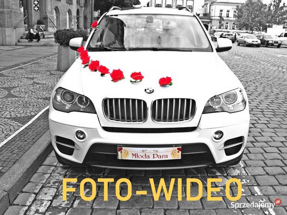 fotograf na ślub zdjęcia plenerowe Grudziądz