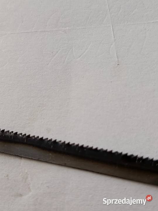 Brzeszczot taśmowy Gostyń sprzedam