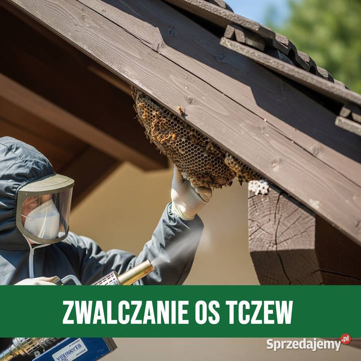 Zwalczanie Os Tczew Usuwanie Gniazd